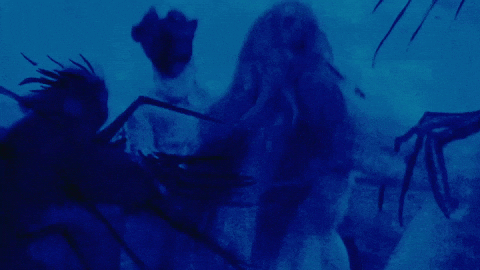 FOOXEA animation fooxea GIF