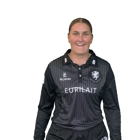 Look Knock Sticker by Somerset County Cricket Club