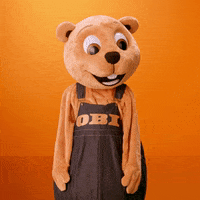 Beaver Tischler GIF by OBI Baumarkt