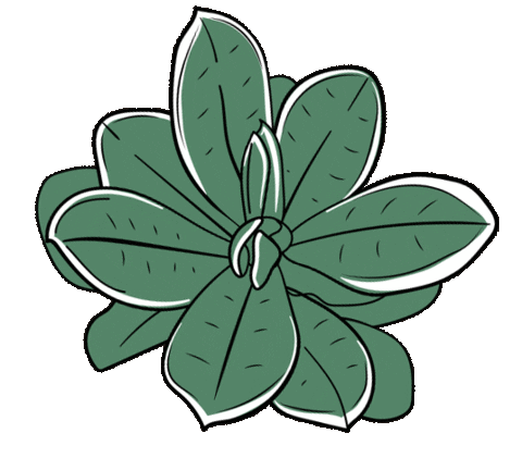 slnp_ giphyupload sticker white nature Sticker