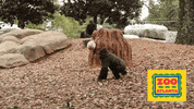 Trick Or Treat Halloween GIF by ZooATL