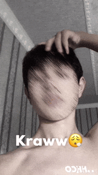 Kotlar GIF