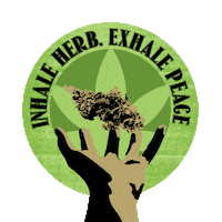 Weed Cannabis Sticker by High End Graphics