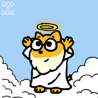 You Got This Crypto GIF by God The Dog