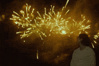 Fireworks Rm GIF