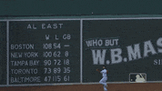 World Series Sport GIF by MLB