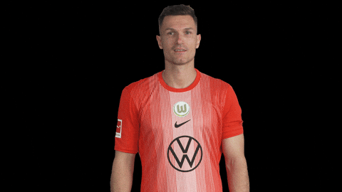 Like A Boss Deal With It GIF by VfL Wolfsburg