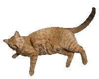 duewestdesign love logo design red Sticker