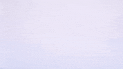 Texas Tech Ncaa GIF by Texas Tech Baseball