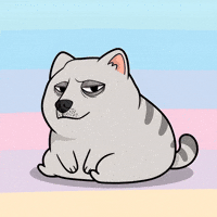 Tired Fat Cat GIF by Doge Pound