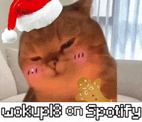 Cute Cat Wok GIF