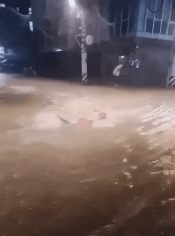 Toooootmtmtm giphyupload GIF