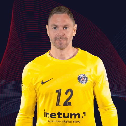 Andreas Palicka Sport GIF by Paris Saint-Germain Handball