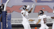 utsa roadrunners football GIF by UTSA Athletics
