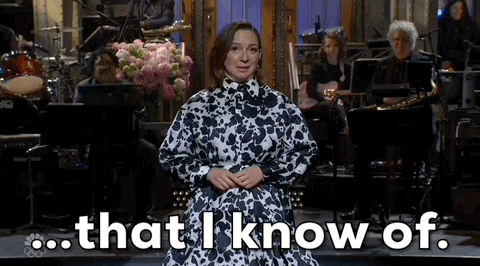 Maya Rudolph Snl GIF by Saturday Night Live