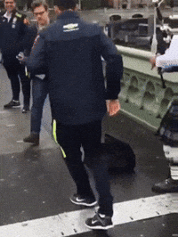 Paqueta GIF