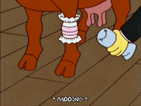 breaking episode 12 GIF