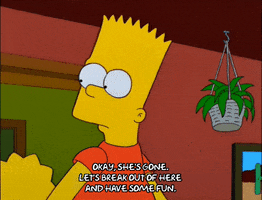 bart simpson episode 20 GIF
