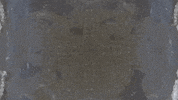 Art Film GIF by jorgemariozuleta