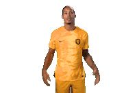 Virgil Fifaworldcup Sticker by OnsOranje