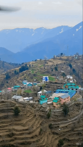 yaseermeer giphycreatortest GIF