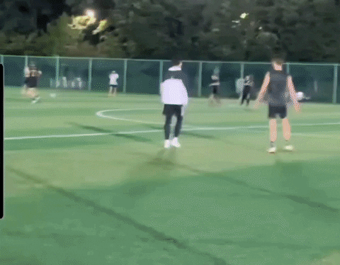 Insight_video giphyupload GIF