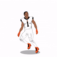 Cincinnati Bengals Football GIF by SportsManias