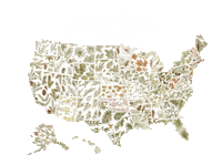 amberartistry travel green tree mountains Sticker