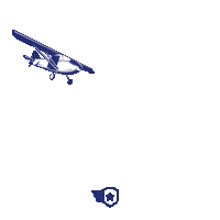 Fly Airplane Sticker by Pilot Institute