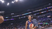 happy history GIF by WNBA