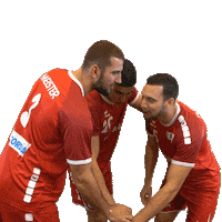 swisshandball_official cheers lets go teamwork hurray Sticker
