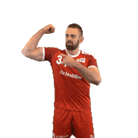 swisshandball_official handball schweiz swiss swisshandball Sticker