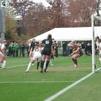 Go Green Msu Spartans GIF by Michigan State Athletics