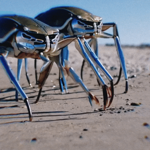 Net Art GIF by Garbi KW