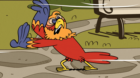 Cartoons Weather GIF by Nickelodeon