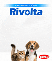 LABORATORIOSBIOMONT  GIF