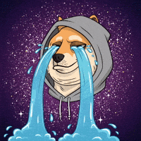Sad Shiba Inu GIF by Doge Pound