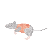 lauboratorium running jumping mouse lauboratorium Sticker