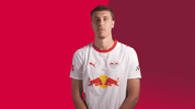 Red Bull Wow GIF by RB Leipzig