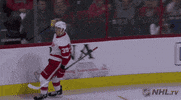 happy ice hockey GIF by NHL
