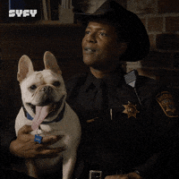 Alan Tudyk GIF by SYFY