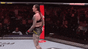 Excited Martial Arts GIF by Megan Anderson