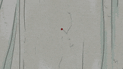 blood running GIF by South Park 