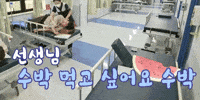 신성 GIF