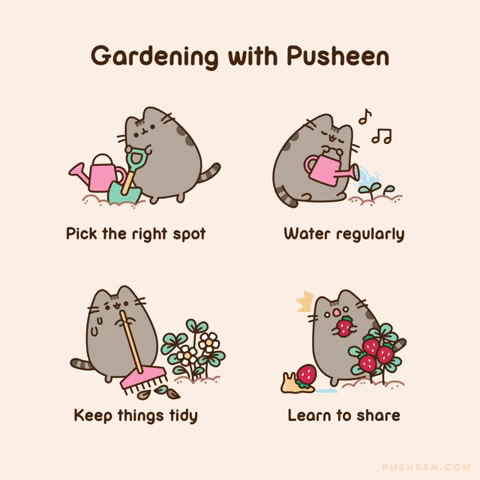 starturtle87 giphyupload cat meow garden GIF