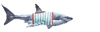 Cape Cod Swimming Sticker