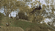 not2bad GIF by EchoBoom Sports