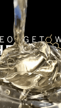 Georgetownhemp  GIF