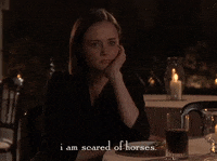 season 4 netflix GIF by Gilmore Girls 