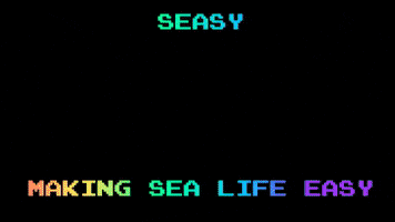 SeasyOfficial sailing seasy GIF